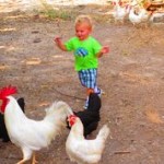 Edmond with chickens Edmond with chickens