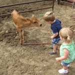 Luke and Johanna with calf Luke and Johanna with calf