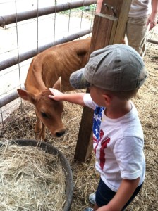 Nolan with calf