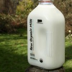 Gallon bottle of raw milk